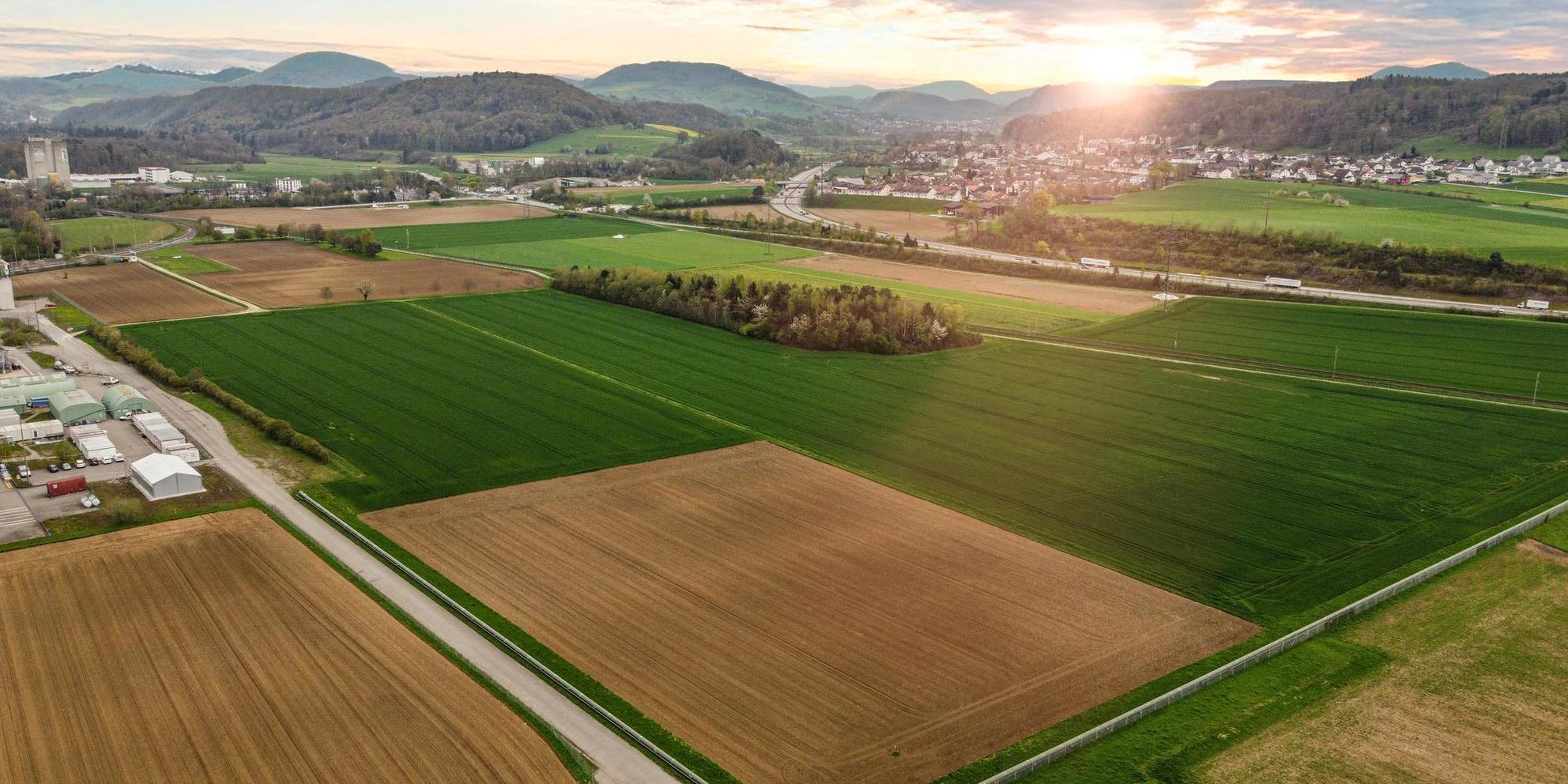Bild von Wenger Plattner unterstützt Bachem bezüglich des neuen Produktionsstandorts im Sisslerfeld